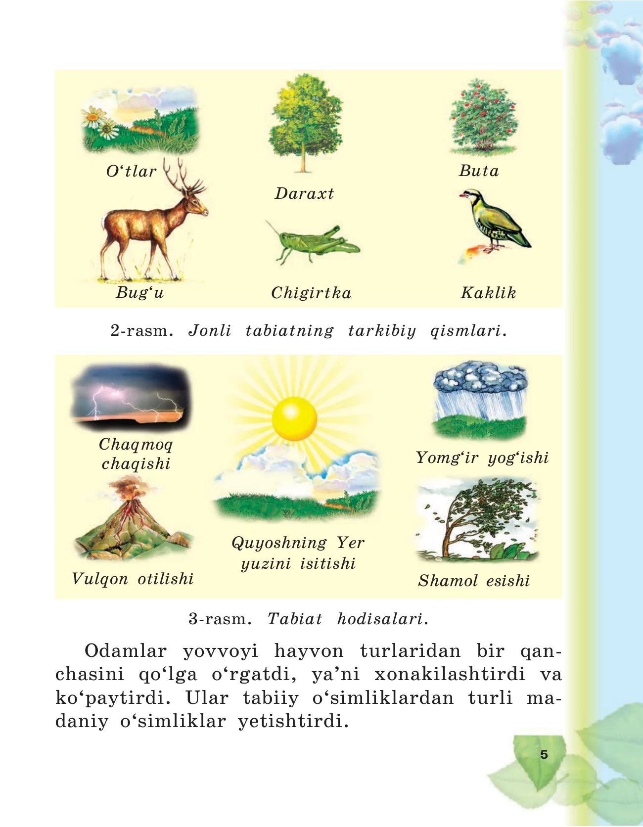 3-sinf Tabiatshunoslik — 5-bet