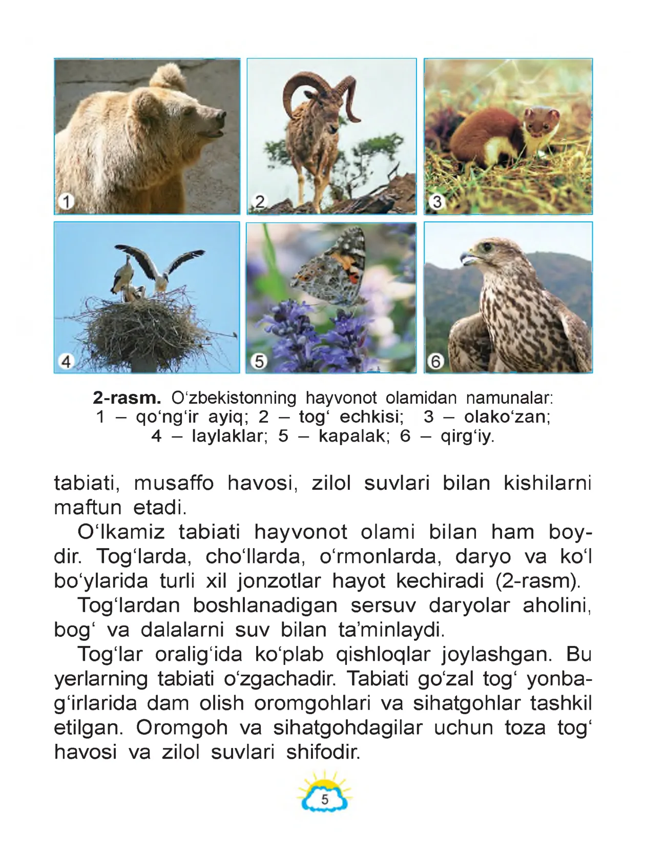 4-sinf Tabiatshunoslik — 5-bet