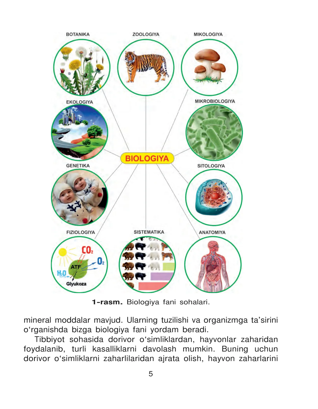 5-sinf Biologiya — 5-bet