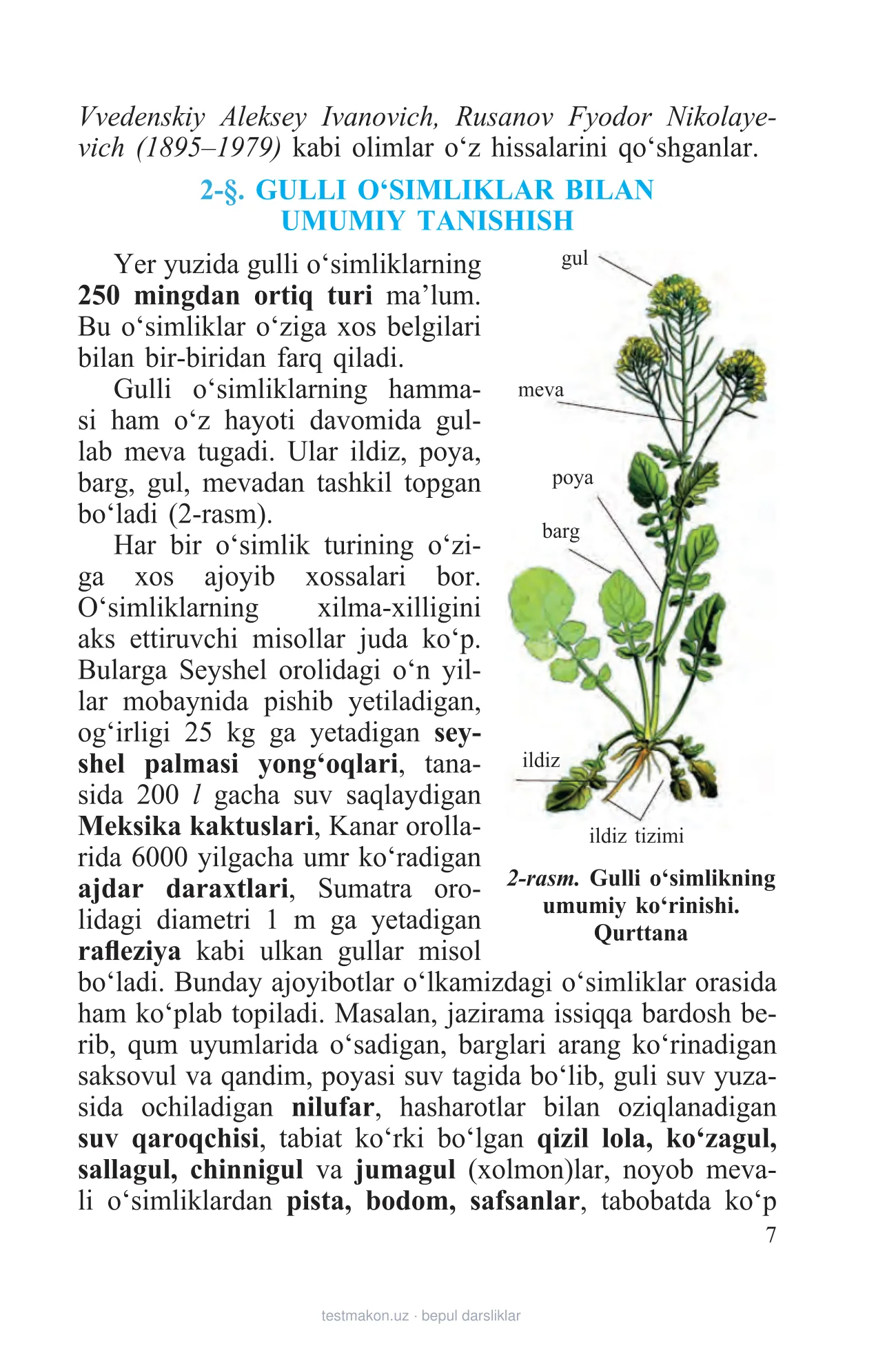 6-sinf Botanika — 7-bet