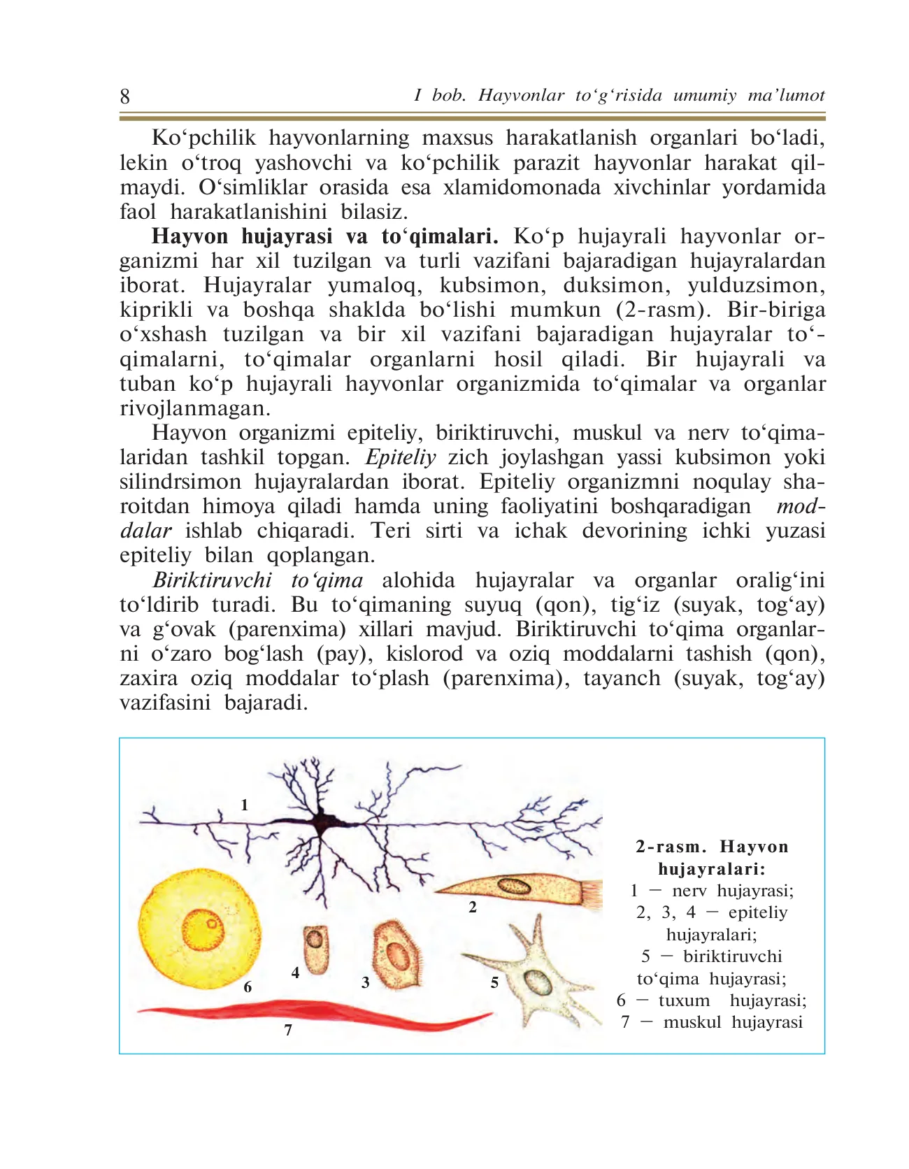 7-sinf Zoologiya — 8-bet