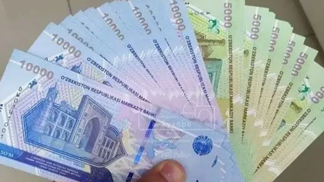Kontrakt to'lovi 2026: 15-sentabrgacha kamida 25 foiz — kechiksa qabul buyrug'i chiqmaydi